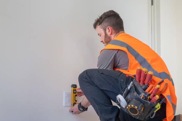 Best Electric Panel Repair  in Holley, NY